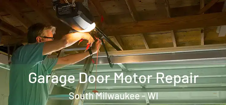  Garage Door Motor Repair South Milwaukee - WI