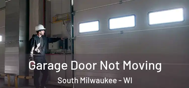  Garage Door Not Moving South Milwaukee - WI