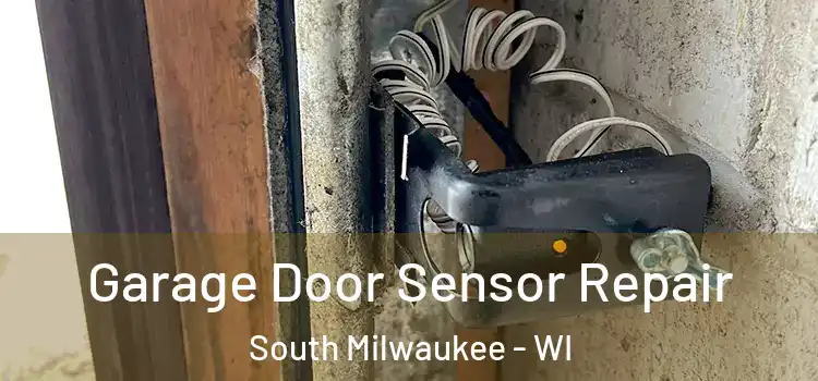 Garage Door Sensor Repair South Milwaukee - WI