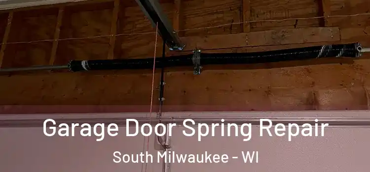  Garage Door Spring Repair South Milwaukee - WI