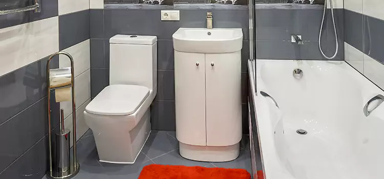 Hansgrohe Shaving Mirror South Milwaukee