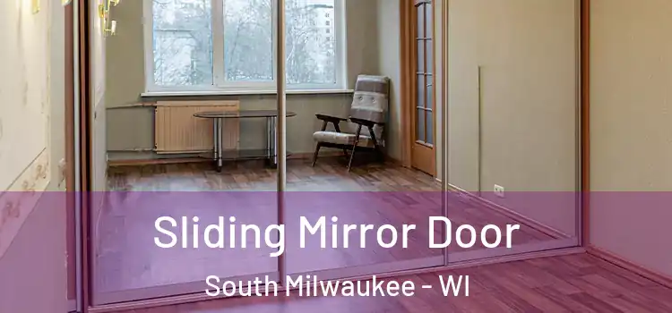  Sliding Mirror Door South Milwaukee - WI